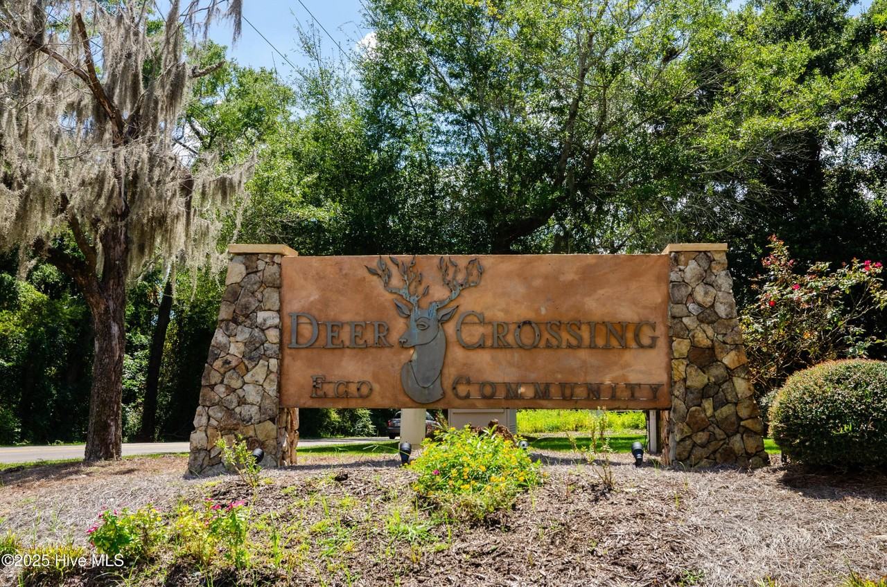 6516 Rustling Leaves Way - Photo 2 of 26