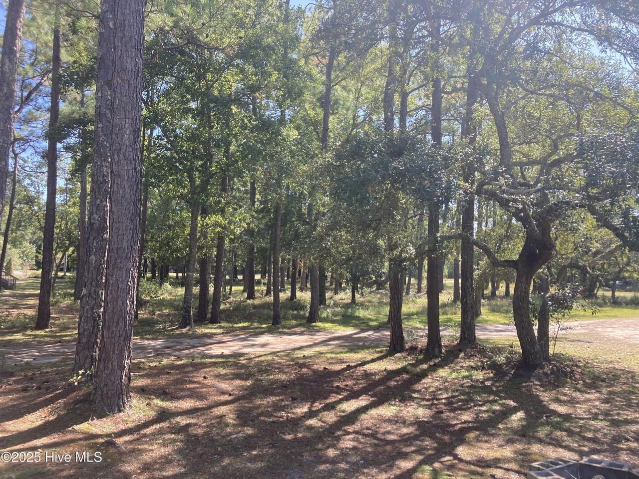 267 Watts Landing Rd - Photo 5 of 16