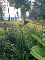 featured image of 586 Bunker Rd