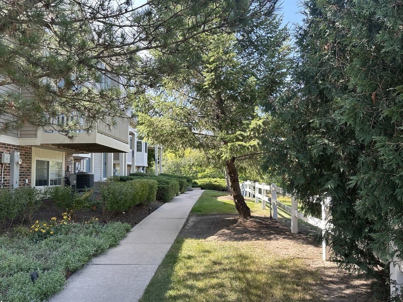 31782 Pineview Boulevard - Photo 2 of 19