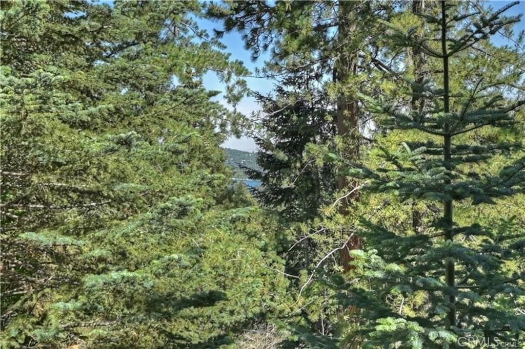 28393 Larchmont Ln - Photo 2 of 25