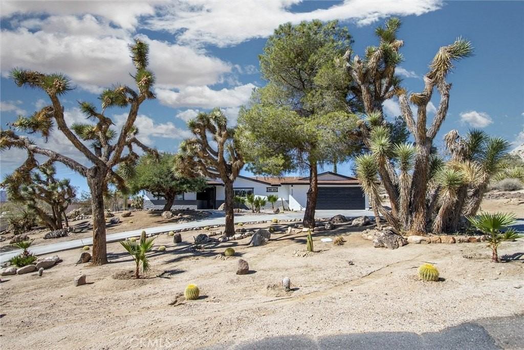 6328 Palo Alto Ave - Photo 5 of 46