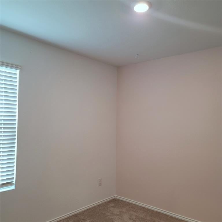 1213 Wildflower St - Photo 7 of 27