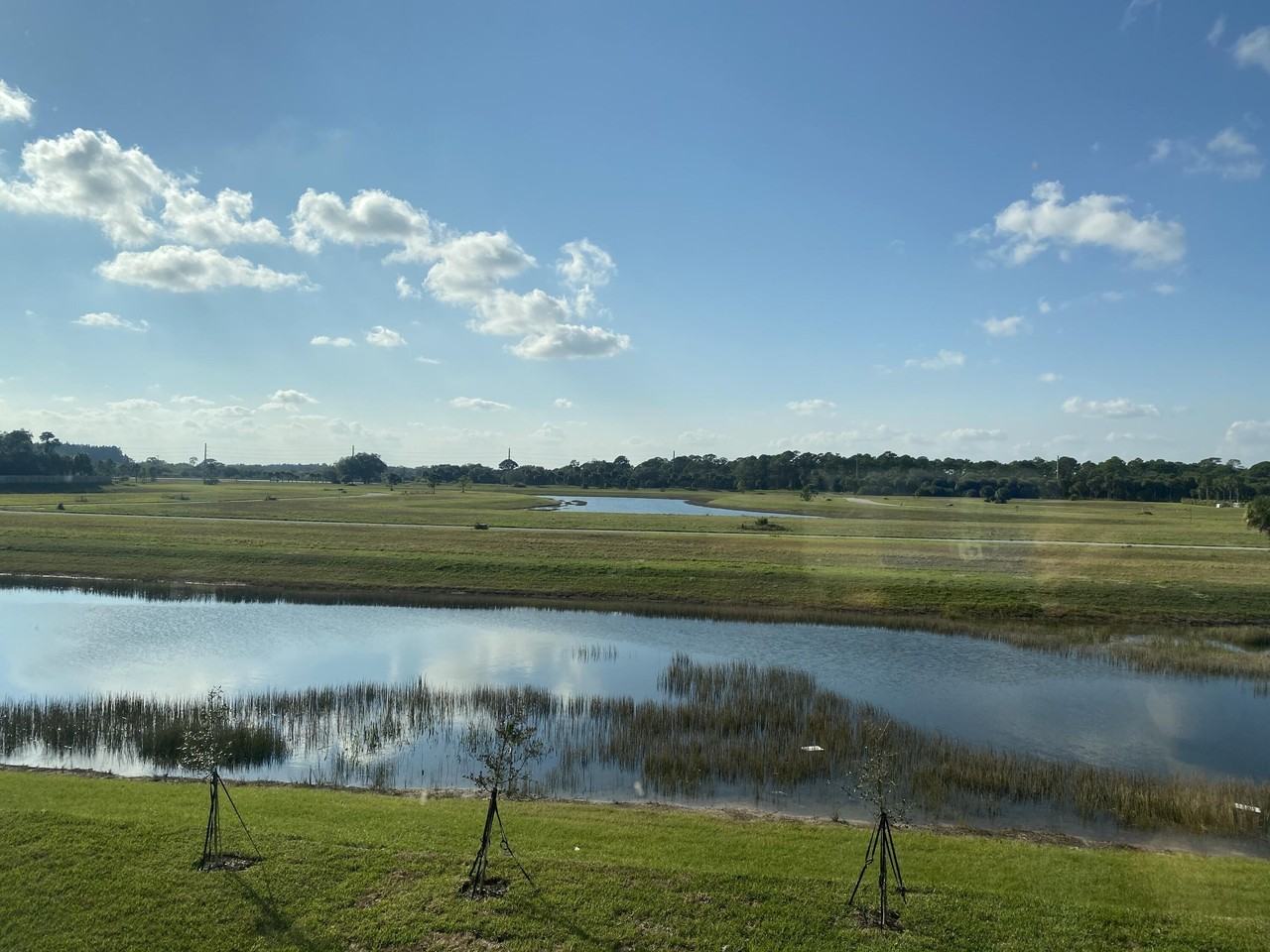 5149 Armina Pl - Photo 2 of 12