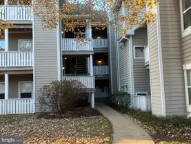 14314 Climbing Rose Way Apt 305 #305 - Photo 1 of 1