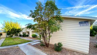 4954 Larkspur St - Photo 1 of 1