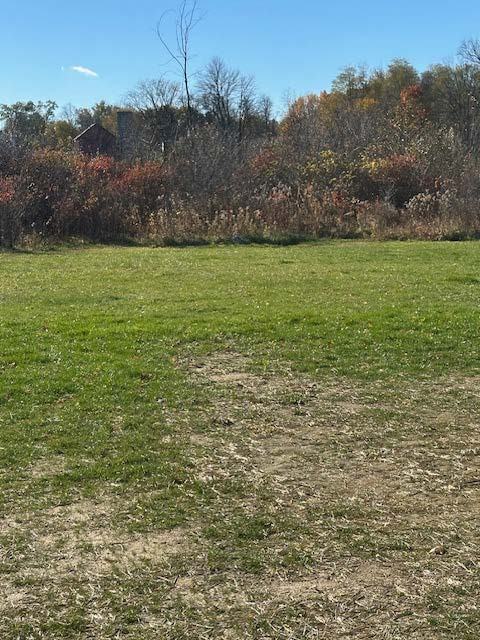 3212 Shaffer Road #NA - Photo 6 of 10