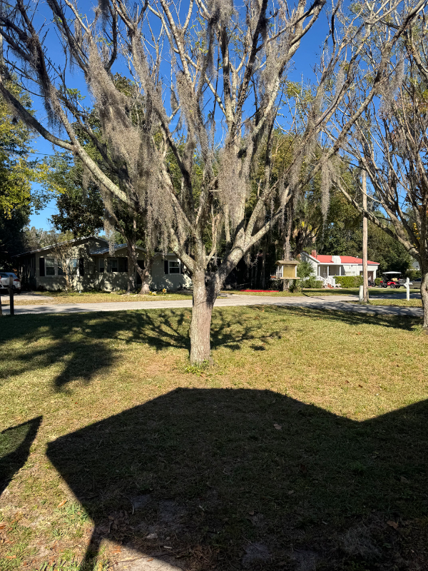 812 Se 11th St #812 - Photo 5 of 20
