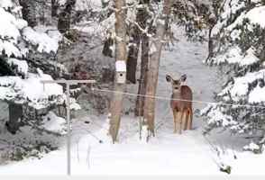 featured image of 6109 Woodland Dr