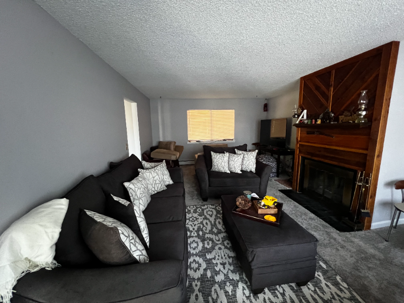 593 Redwing Ln - Photo 3 of 17