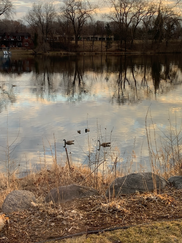 5 Round Lake Trl - Photo 5 of 10