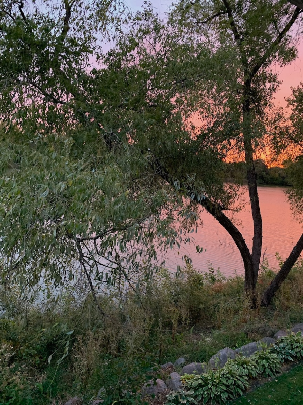 5 Round Lake Trl - Photo 6 of 10