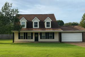 featured image of 2013 Magnolia Cv