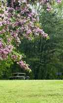 WM - West Meadows - Photo 1 of 1