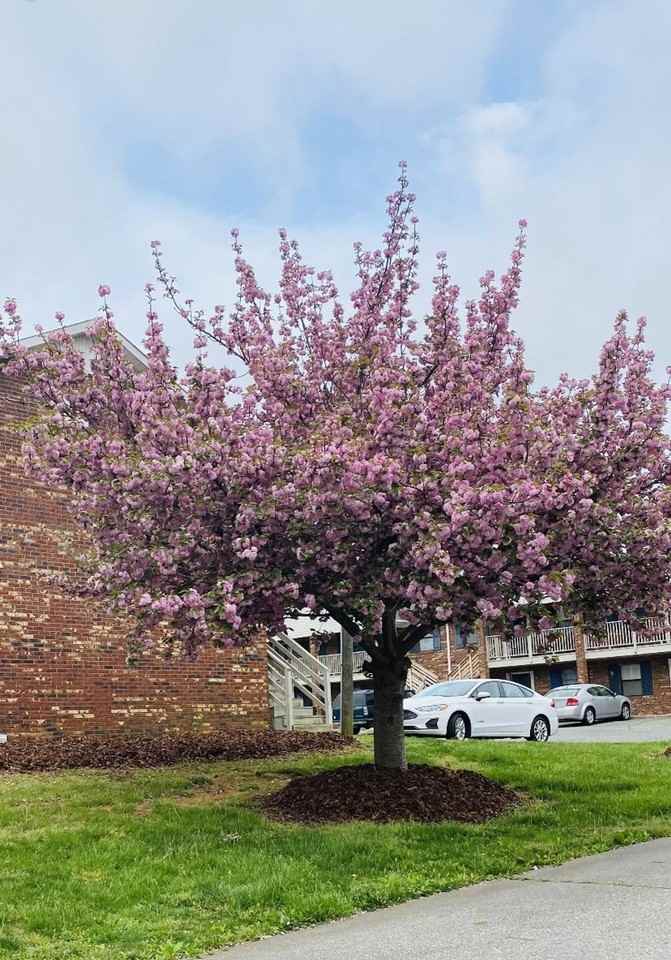 West Meadows - Photo 3 of 3