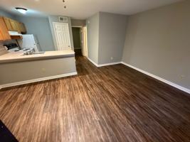 featured image of 113 Pine Tree Path