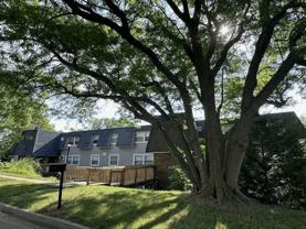 1 bed, 1 bath Apartments - Photo 1 of 1