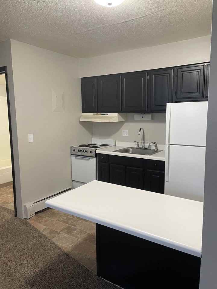 1 bed, 1 bath Apartments - Photo 6 of 10