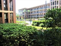 6100 Gulfport Blvd S - Photo 1 of 1