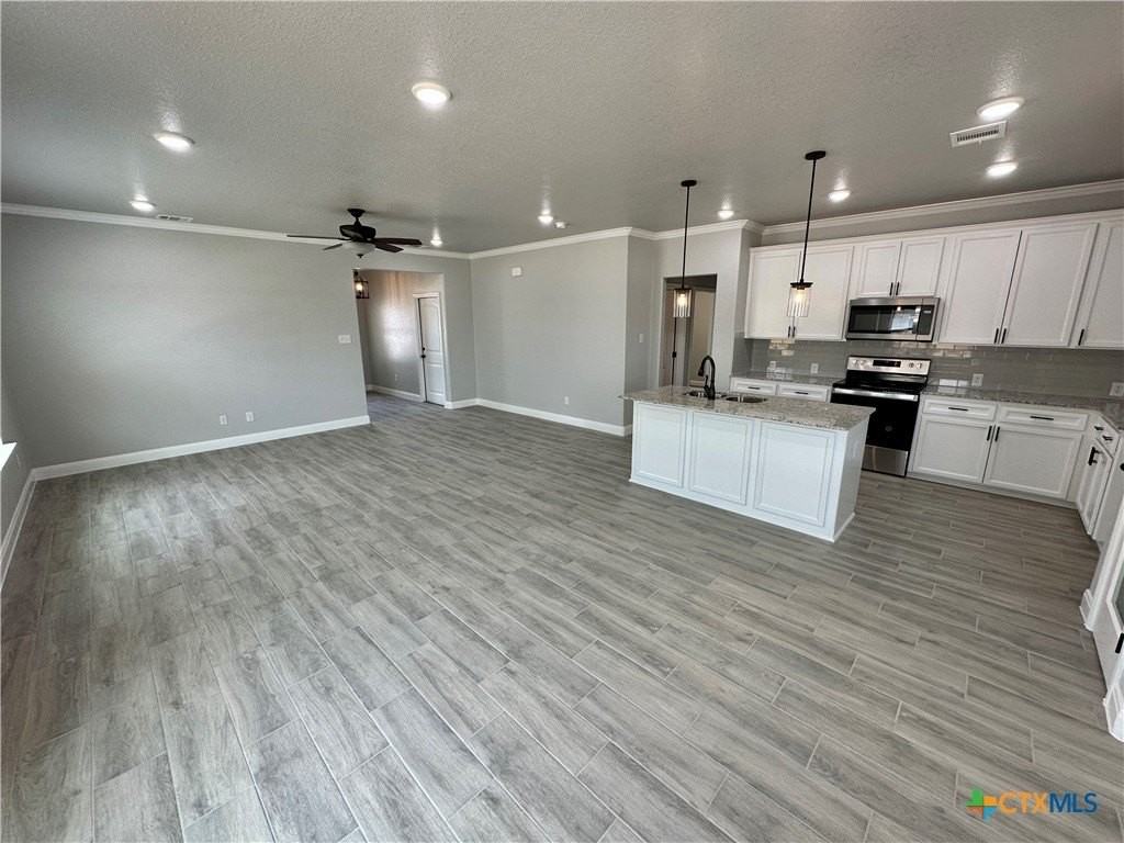 1527 Sideoats Lane - Photo 3 of 14