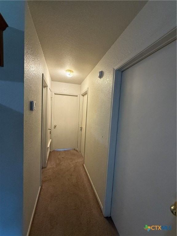 4106 Wine Cup Road #B - Photo 3 of 8