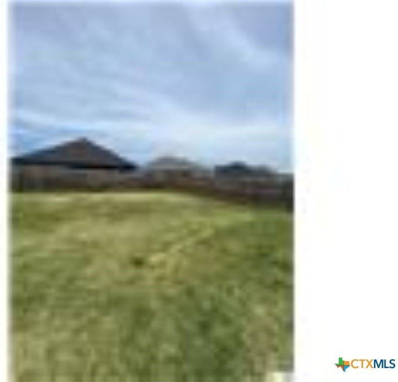 2638 Bolzano Trl - Photo 7 of 7