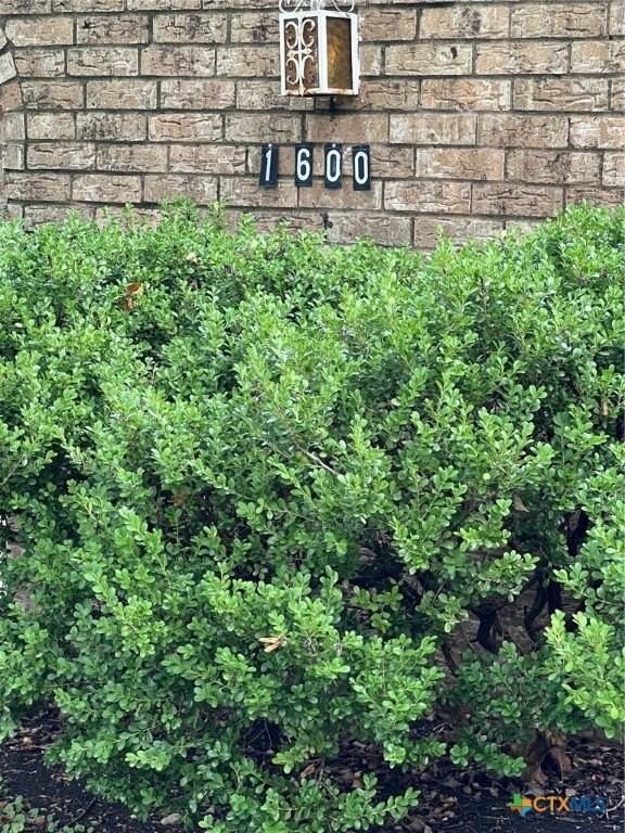 1600 Halbert St - Photo 4 of 15