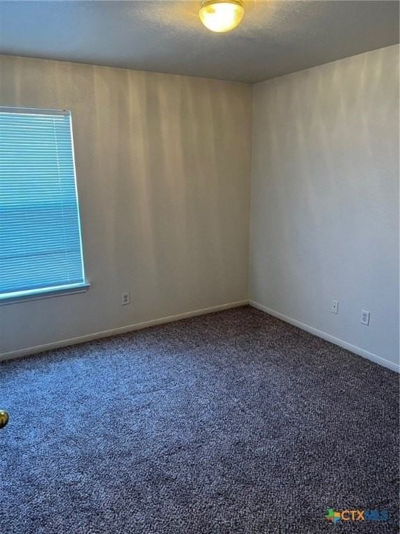 1409 Cinch Dr Apt B #B - Photo 5 of 8