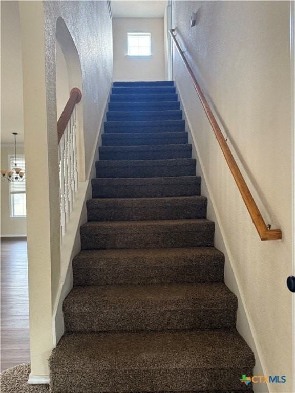 303 Buckskin Trl - Photo 7 of 20