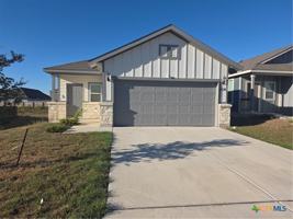 featured image of 874 Crested Iris