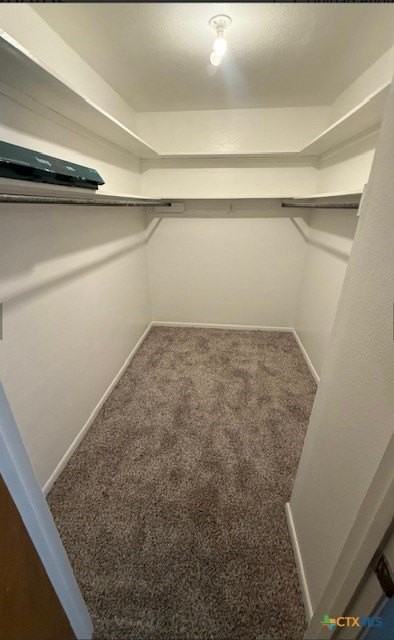 302 Palmwood Dr Apt D #D - Photo 7 of 7