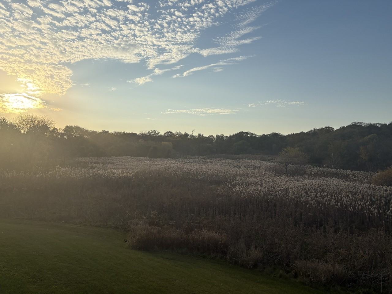 Tiberon Trails - Photo 4 of 24