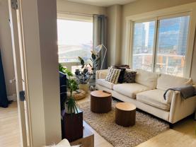 Fox I - Photo 1 of 1