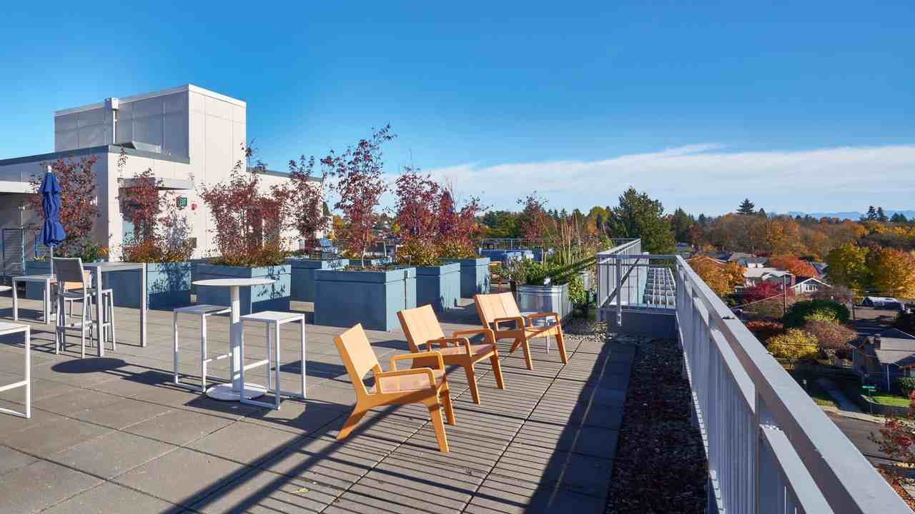 Square One - Photo 2 of 47