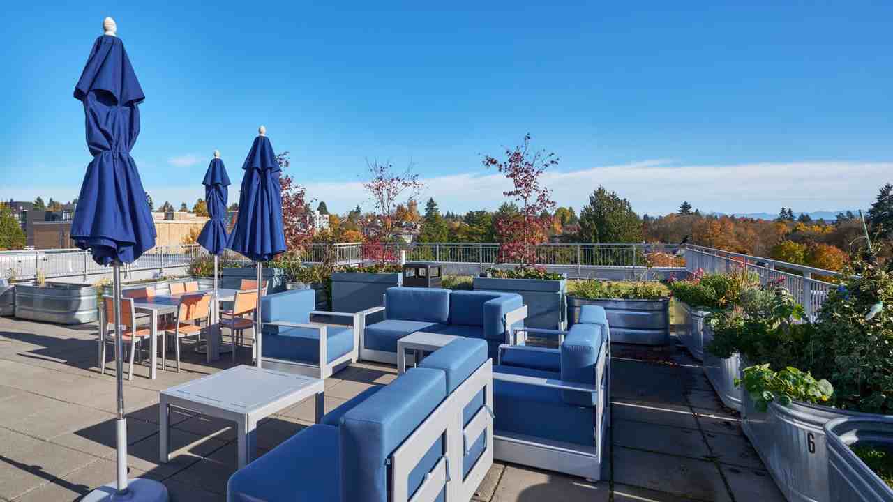 Square One - Photo 3 of 47