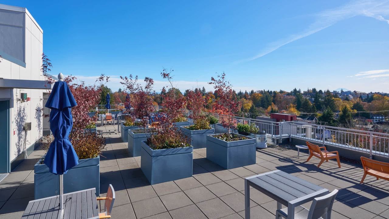 Square One - Photo 5 of 47