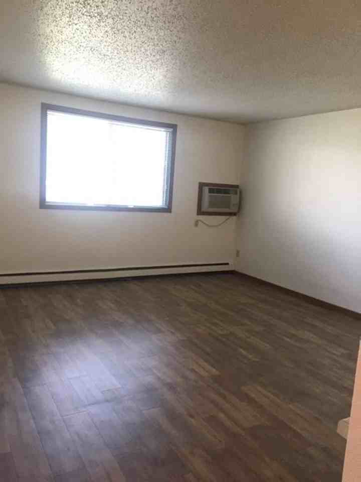 4602 16th Ave S - Photo 6 of 22