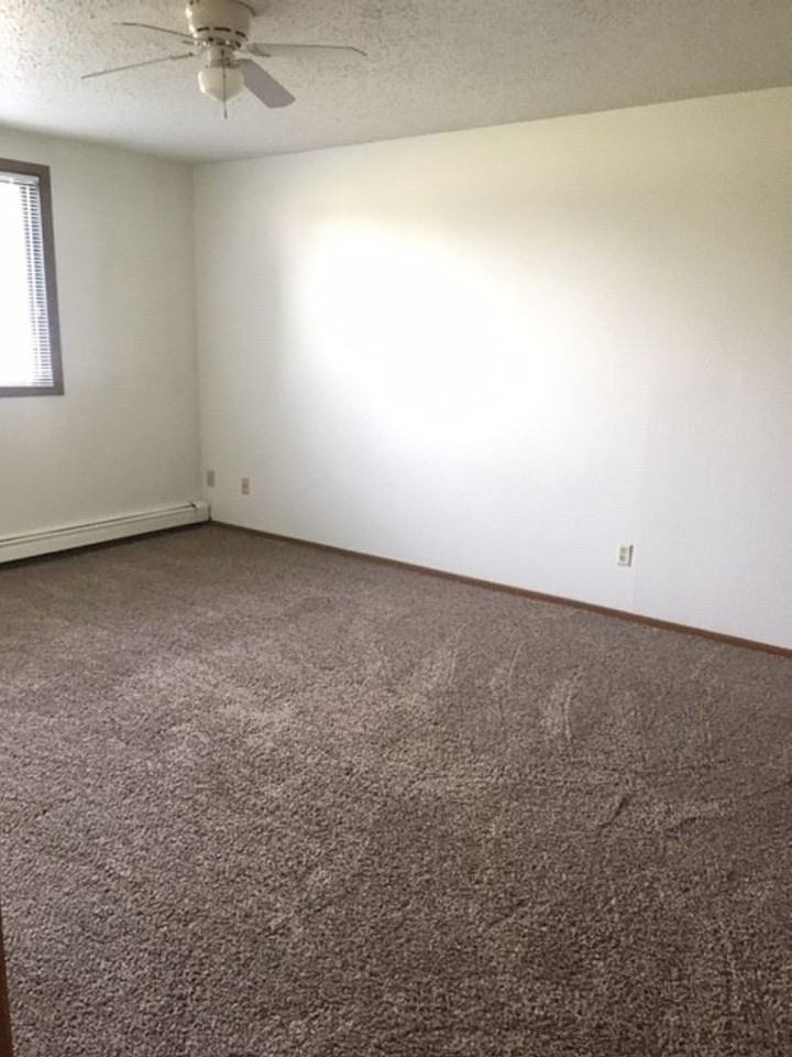 4602 16th Ave S - Photo 7 of 22