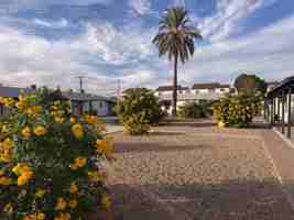 featured image of 730 East Turney Avenue