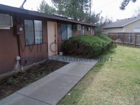 puff1036 - Photo 1 of 1