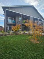 1803003 - Photo 1 of 1