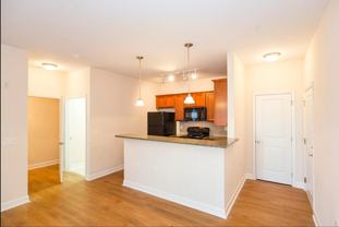 Lofts at Little Creek, LLC - Photo 1 of 1