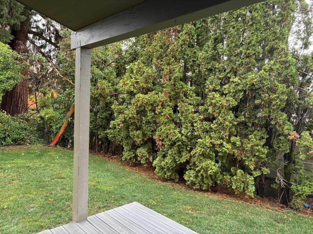 1128 Hemlock Street Northwest - Photo 3 of 17