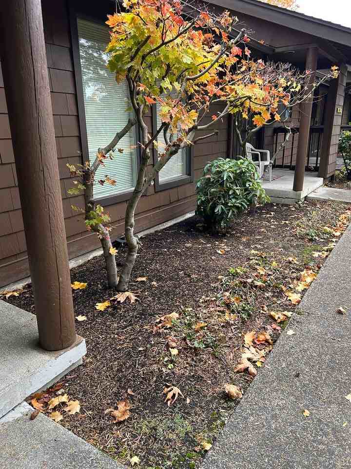 15344 62nd Ave S #A1 - Photo 5 of 19