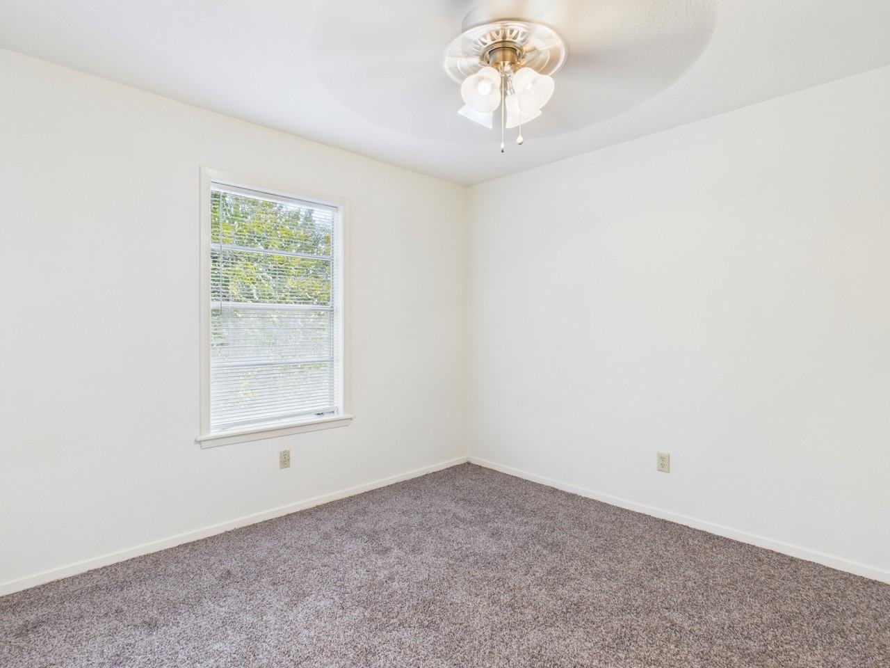 2902 Prairie Flower Cir - Photo 3 of 18