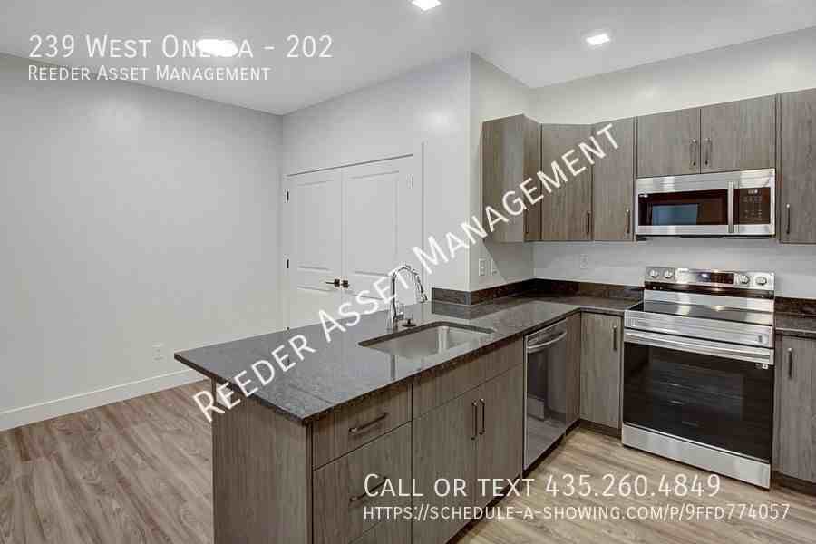 239 West Oneida Street #202 - Photo 7 of 21