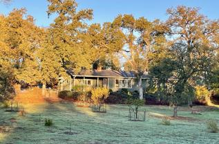 9733 Hidden Ln - Photo 1 of 1