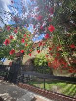 425 North Hobart Blvd. - Photo 1 of 1