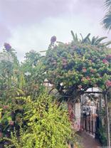 94-695 Kupuna Loop - Photo 1 of 1