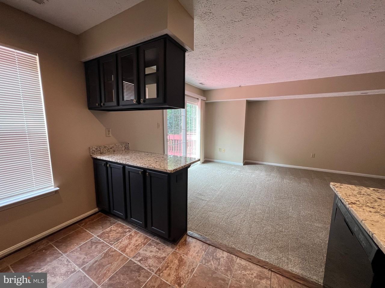 5004 Doctorfish Ct - Photo 4 of 28